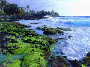 Kona Coast, Big Island, Hawaii