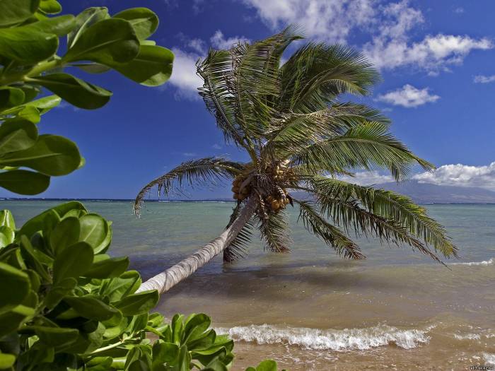 Molokai, Hawaii